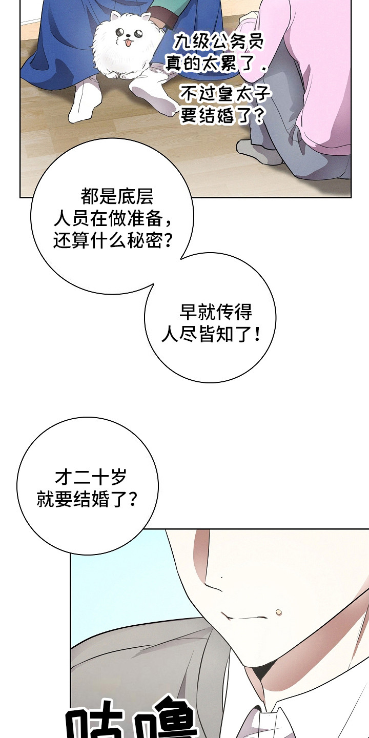 成为皇太子妃 - 皇太子 - 第22页