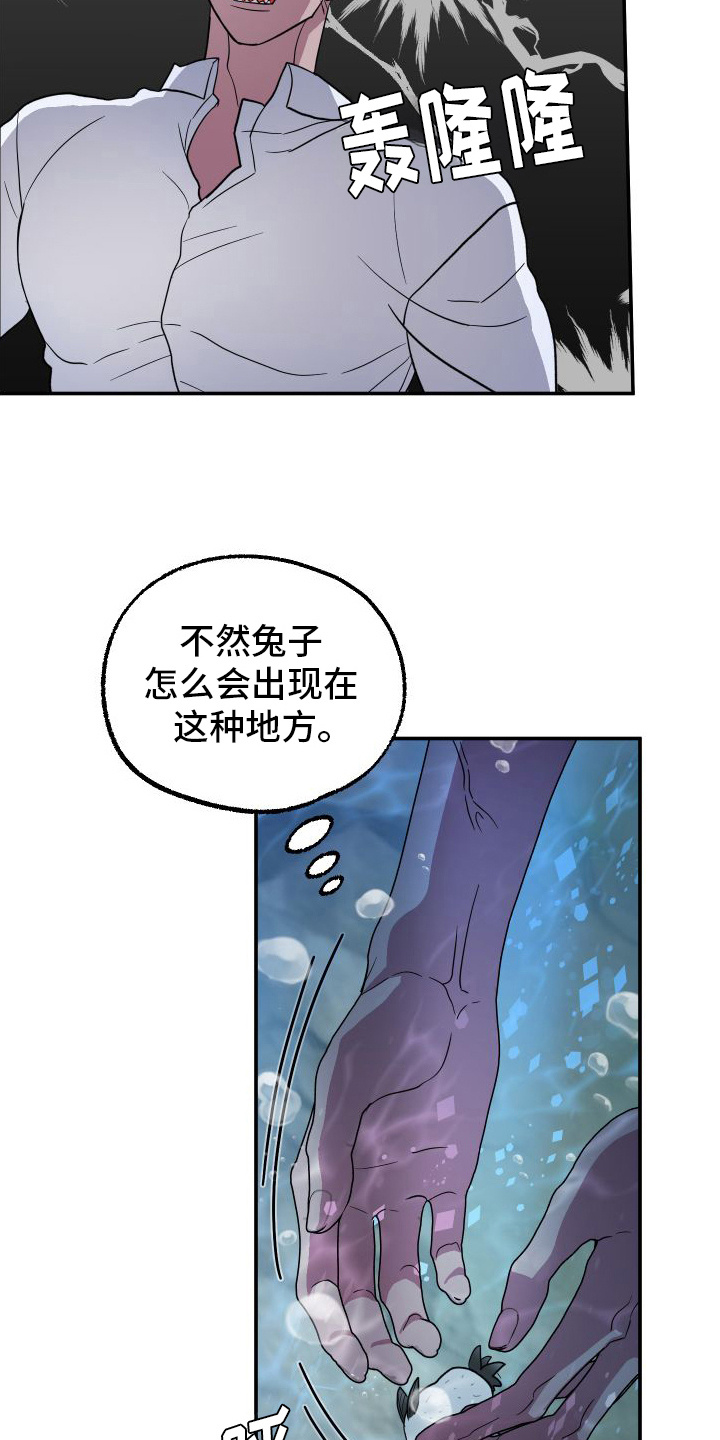 鲨鱼的新娘 - 捡回家 - 第12页