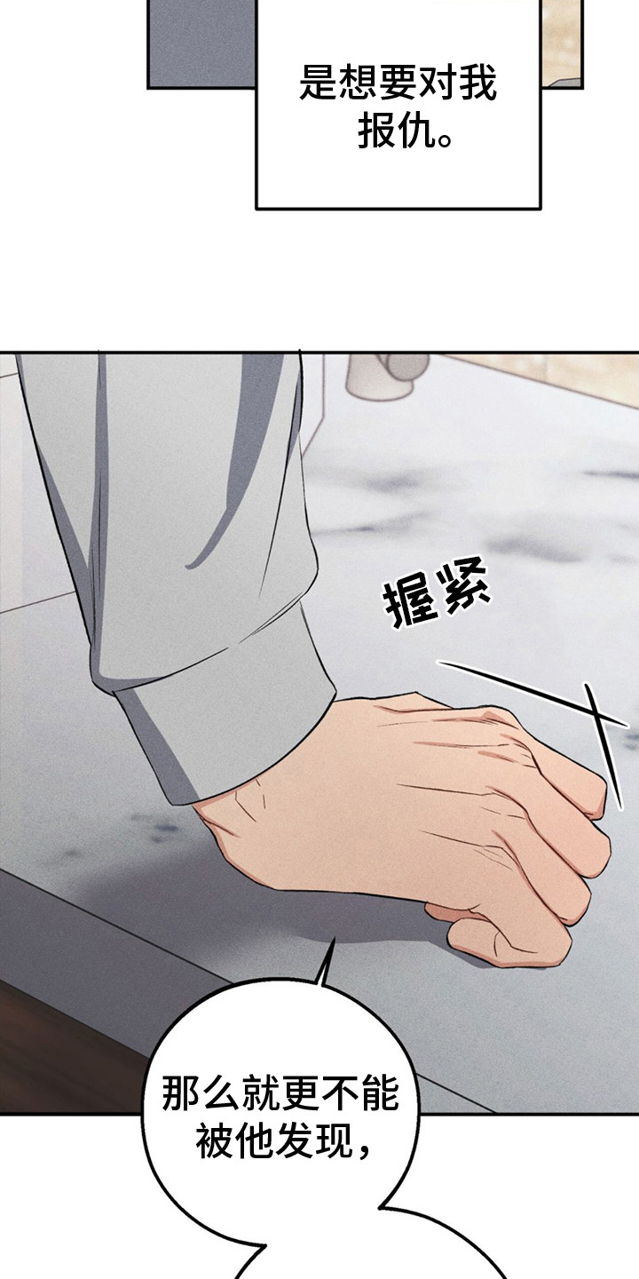 青涩初恋 - 别无选择 - 第23页