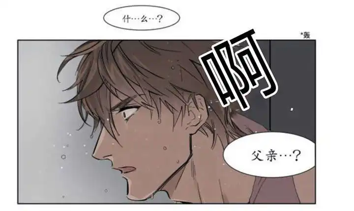 被驯服的遗产 - 父亲的死讯 - 第12页