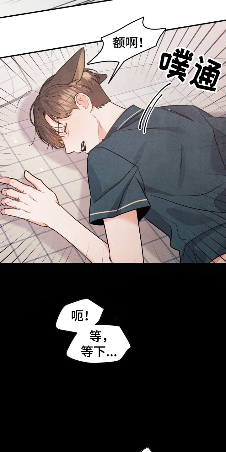 狗狗的恋爱 - 小型犬 - 第20页
