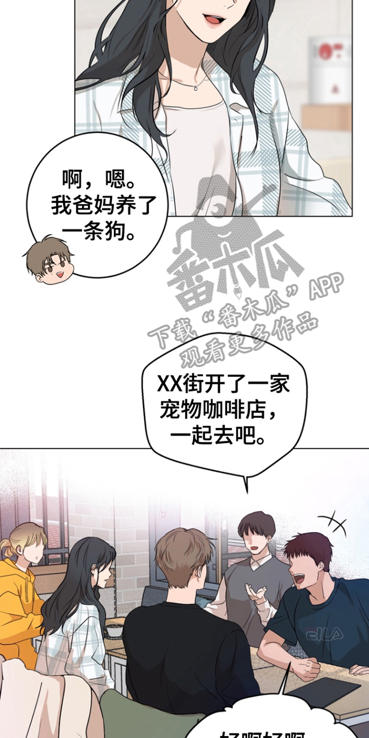 融化调情曲奇 - 宠物咖啡店 - 第5页