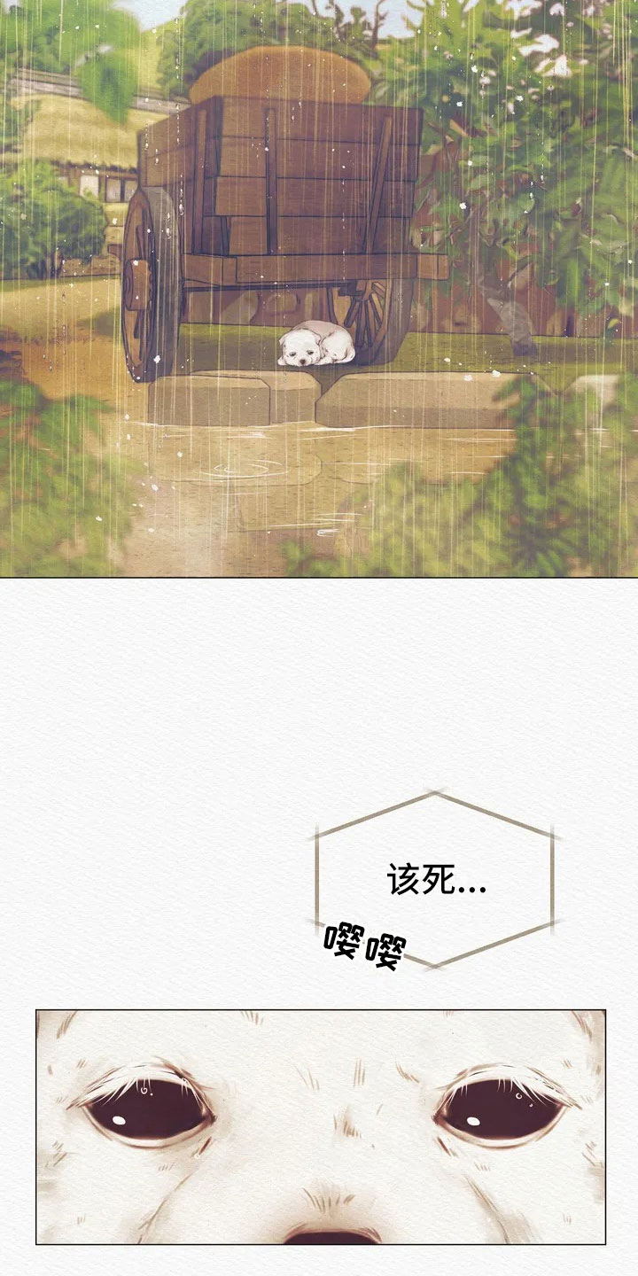 鬼夜曲 - 惩罚 - 第11页