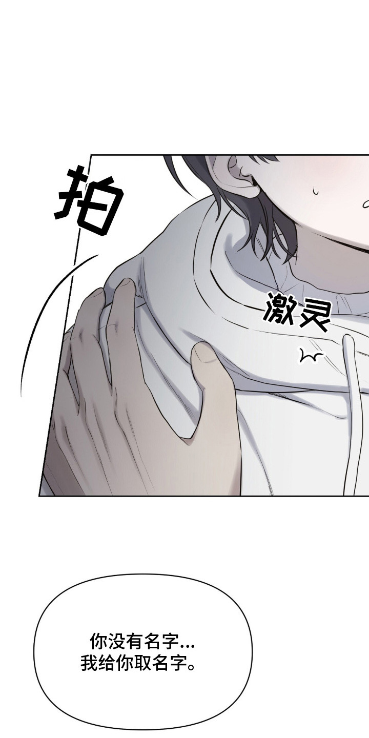 幽光潜行 - 领养 - 第13页