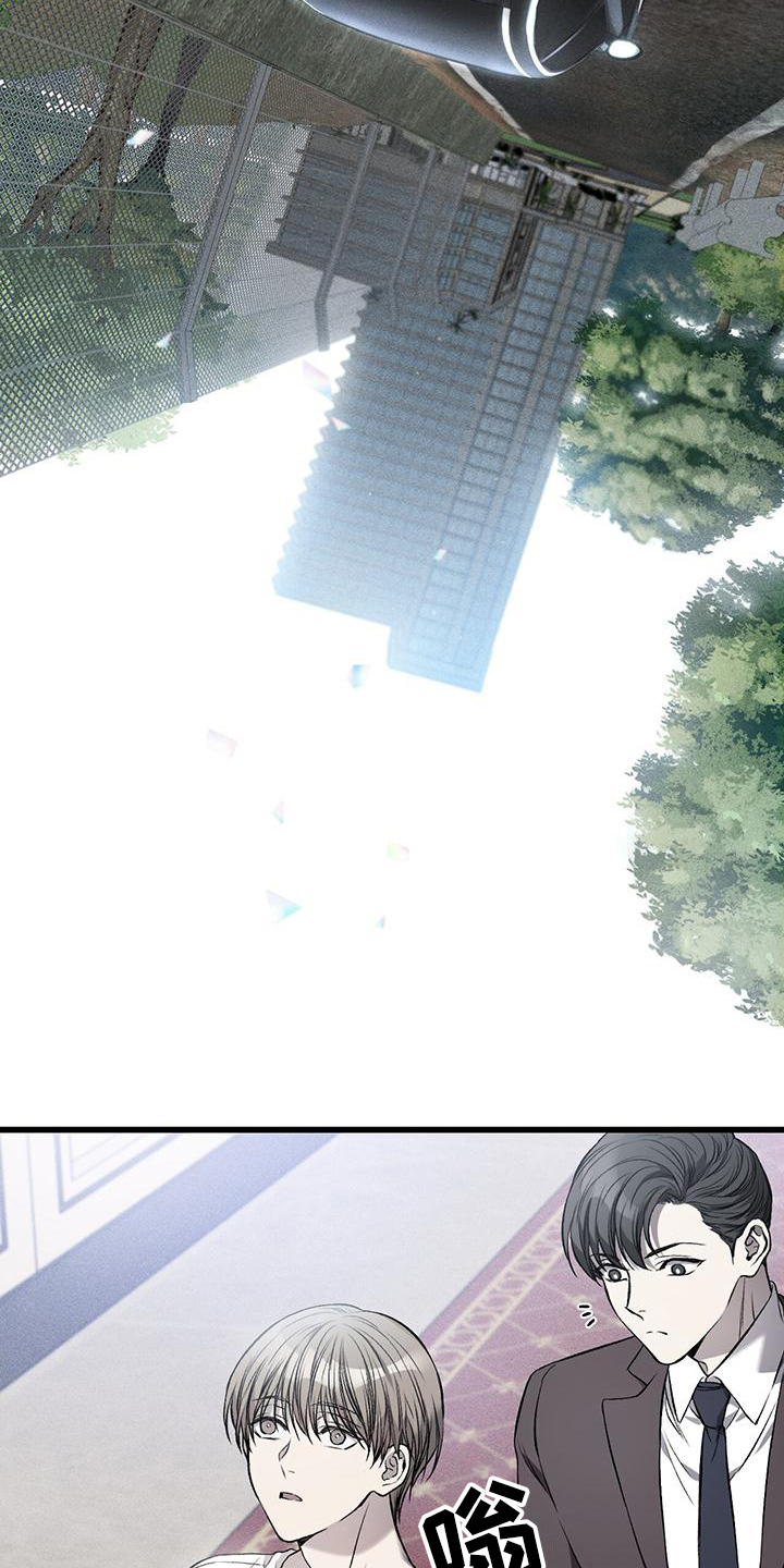 该死的交易 - 接人 - 第19页