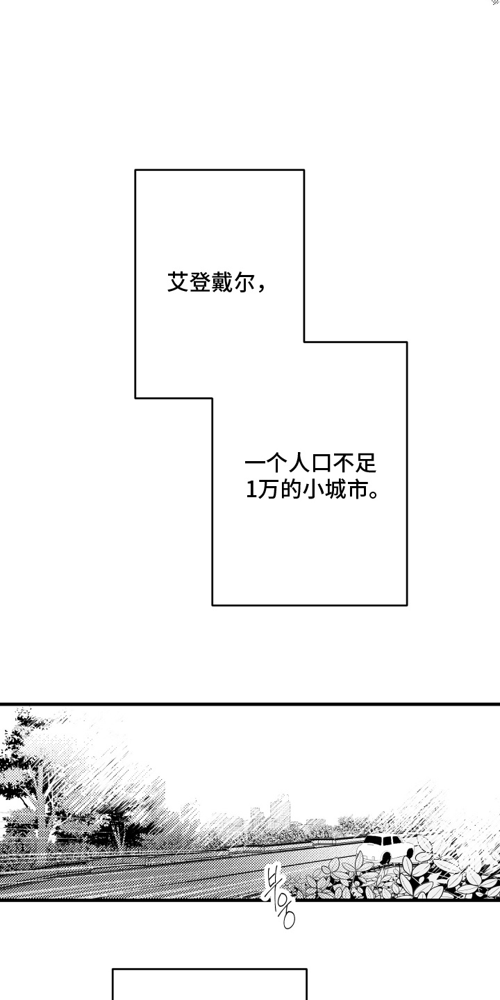 天定爱人 - 搬家 - 第15页