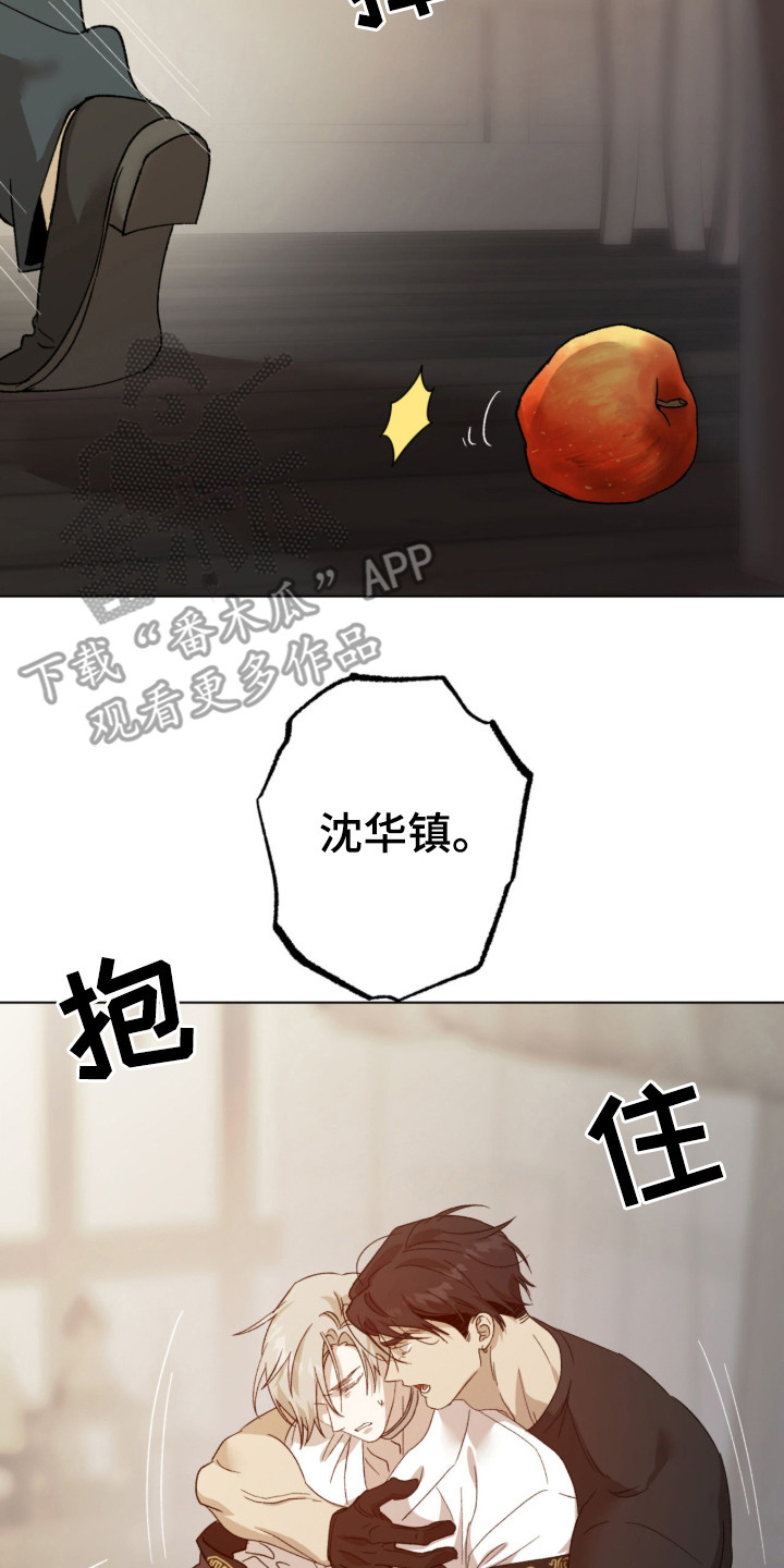 双生悲愿 - 憎恨 - 第11页