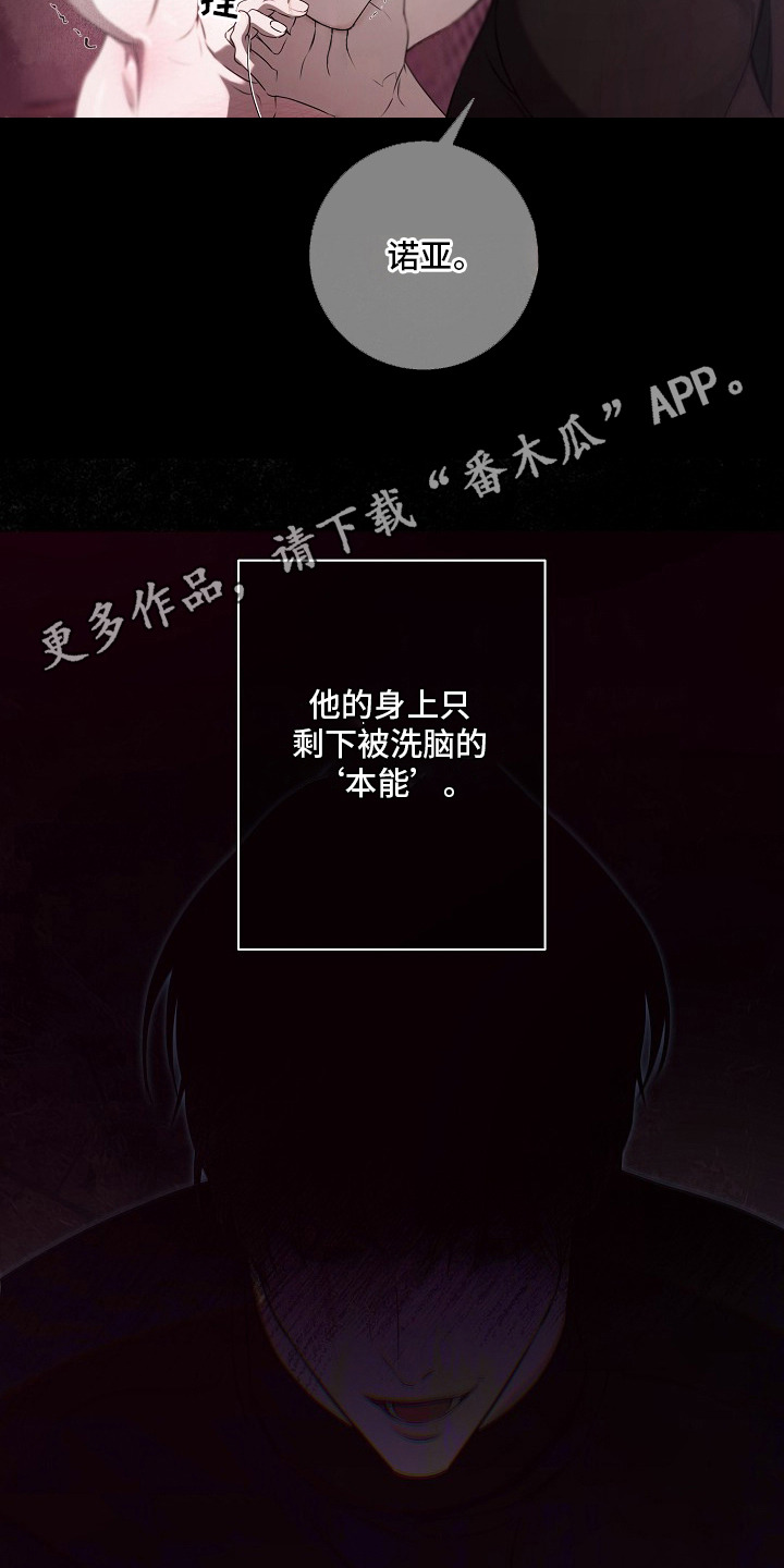 塔中猎物 - 外星球 - 第15页