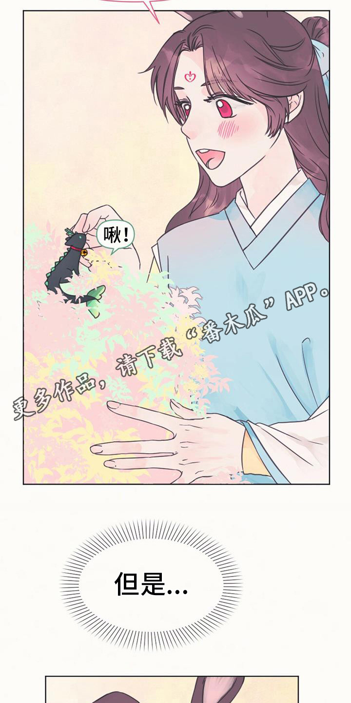 兔兔的小龙宝 - 长不大 - 第12页
