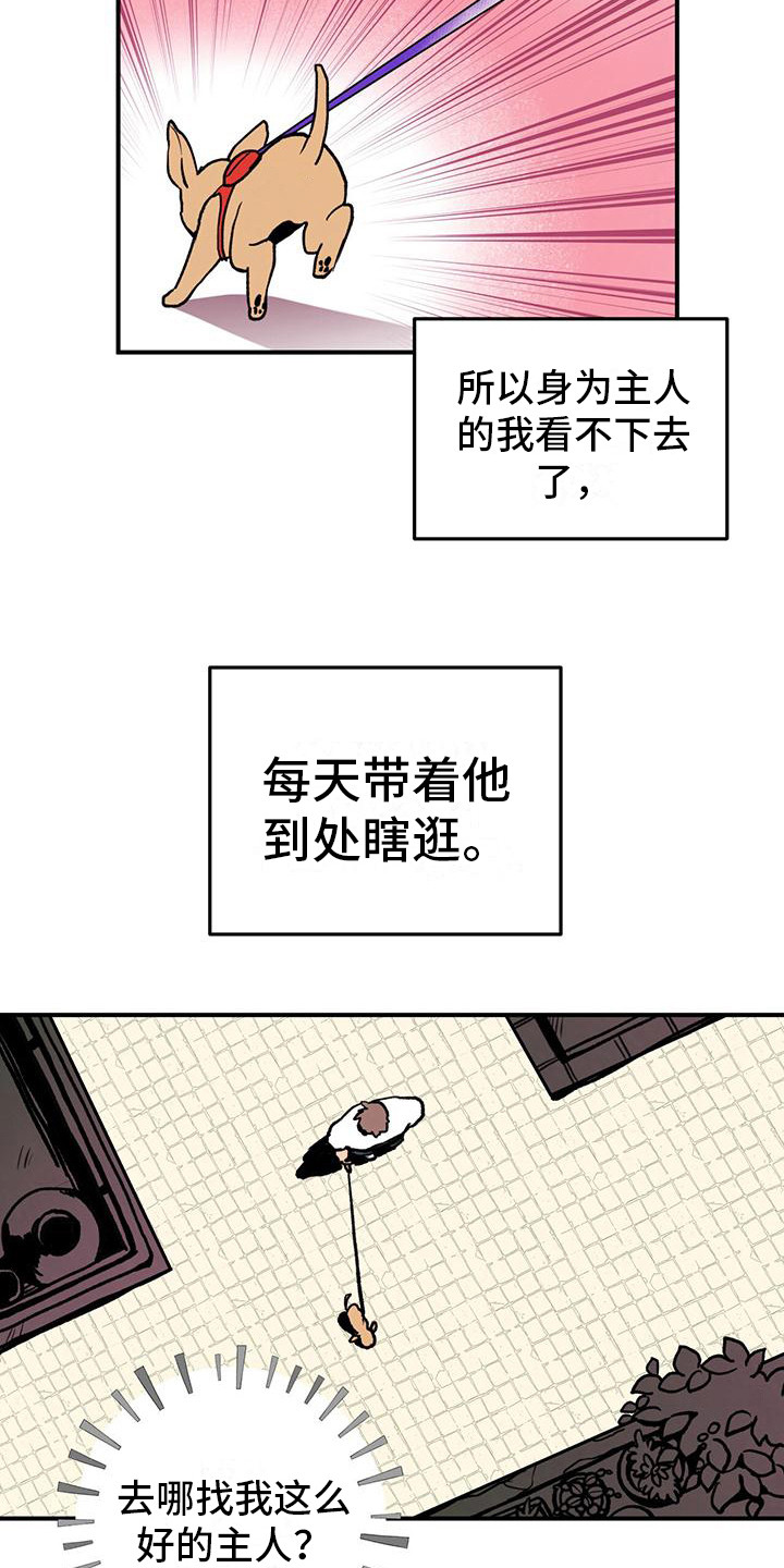哈尼熊 - 铲屎官 - 第11页