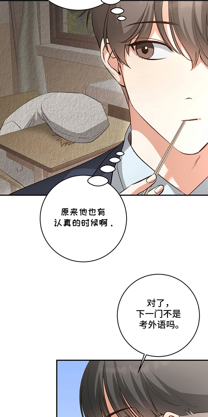 蒲公英观察日 - 话题 - 第19页