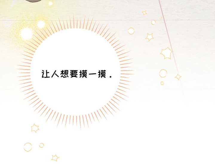 蒲公英观察日 - 真好看 - 第19页