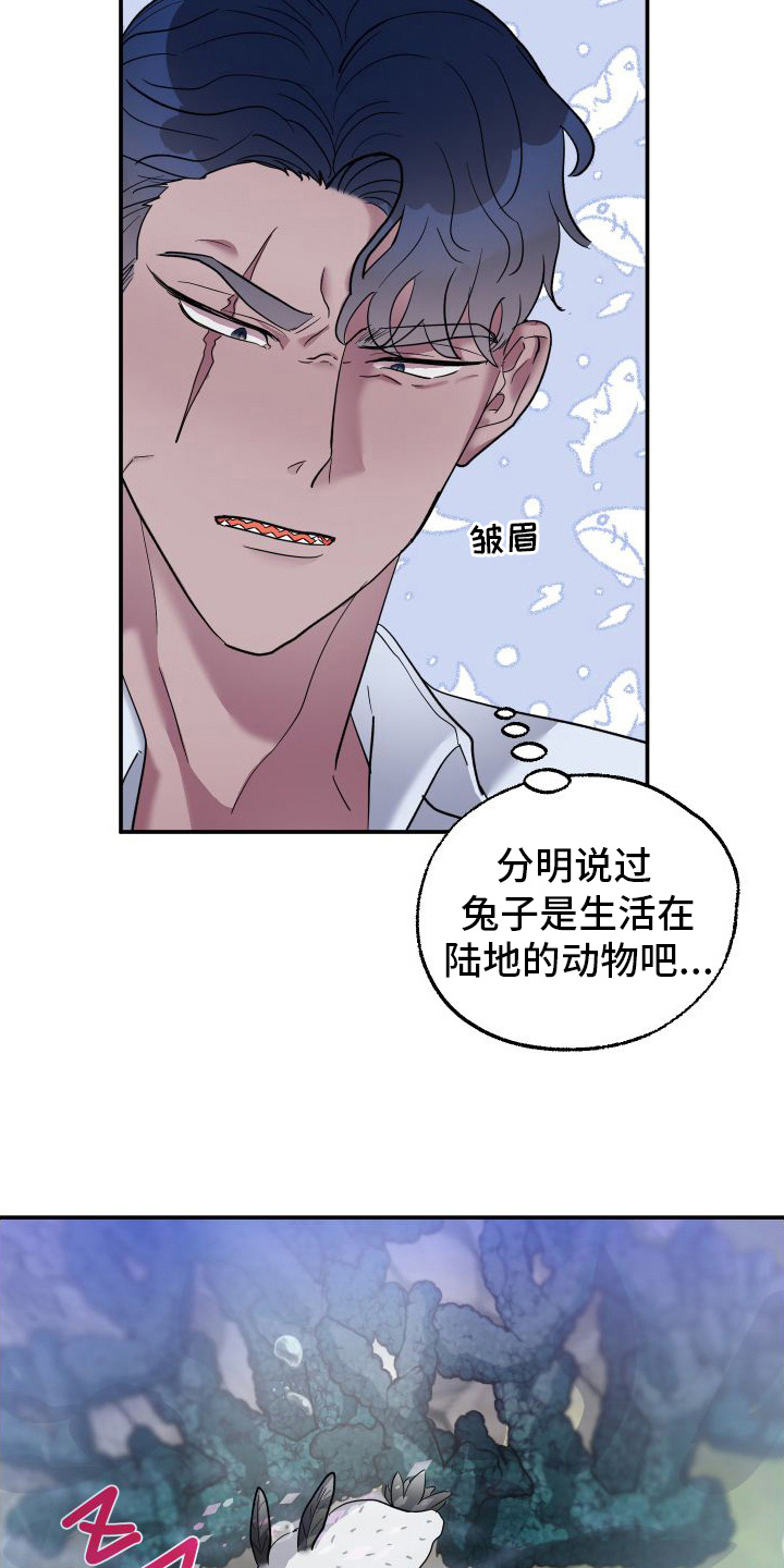 鲨鱼的新娘 - 捡回家 - 第8页