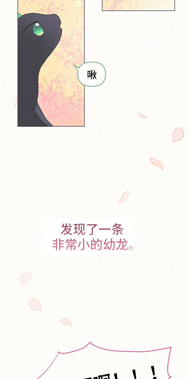 兔兔的小龙宝 - 幼龙 - 第10页