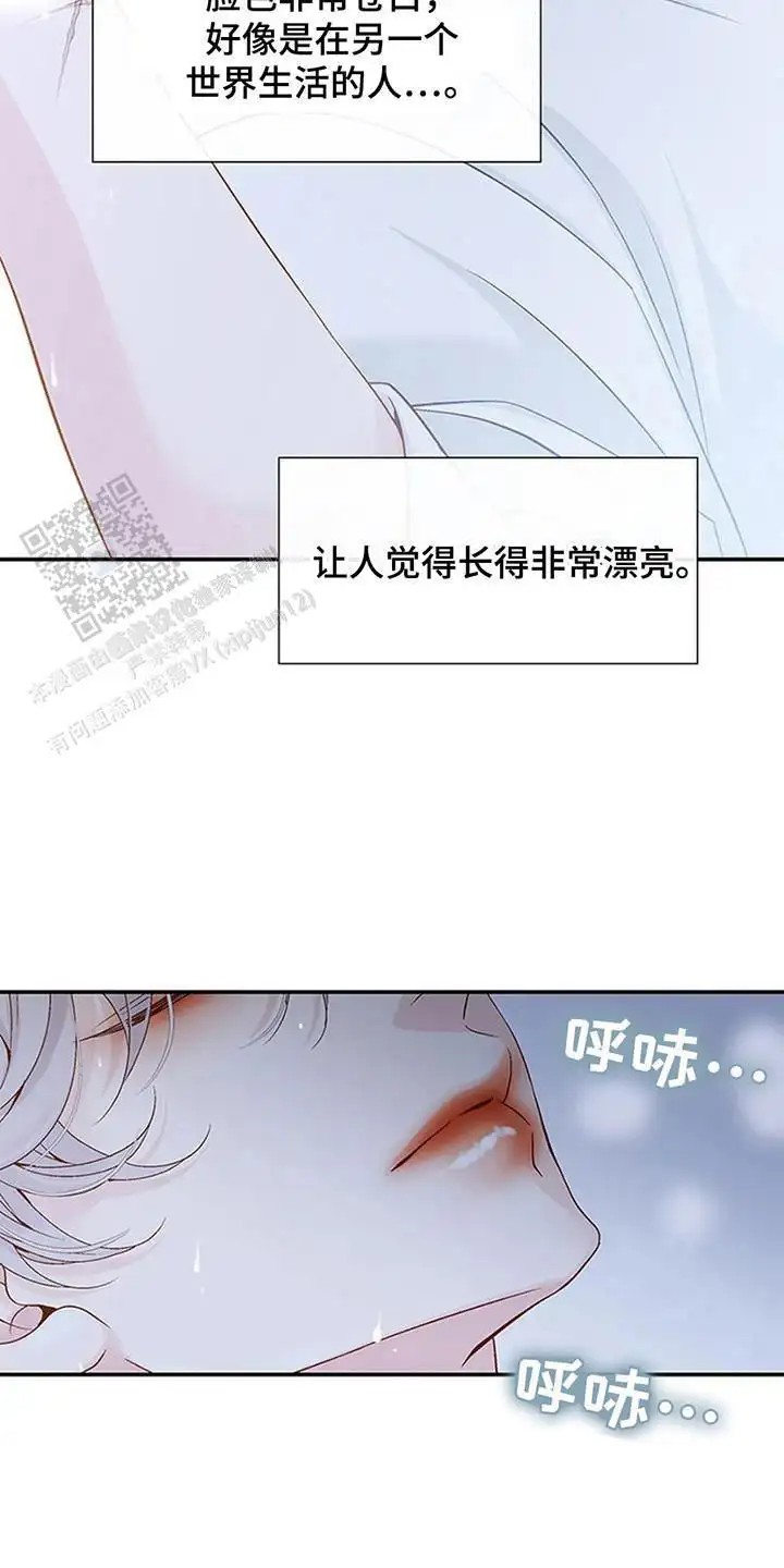 剧毒纽带 - 漂亮的男人 - 第22页