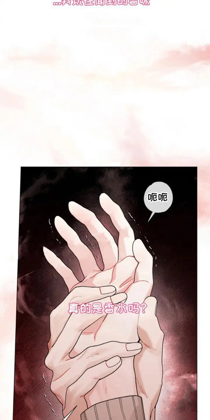 私人定制 - 香味 - 第7页