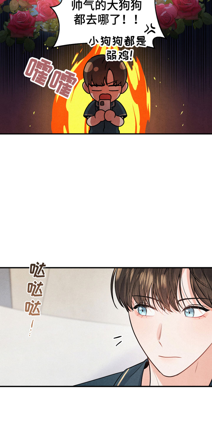 狗狗的恋爱 - 小型犬 - 第6页