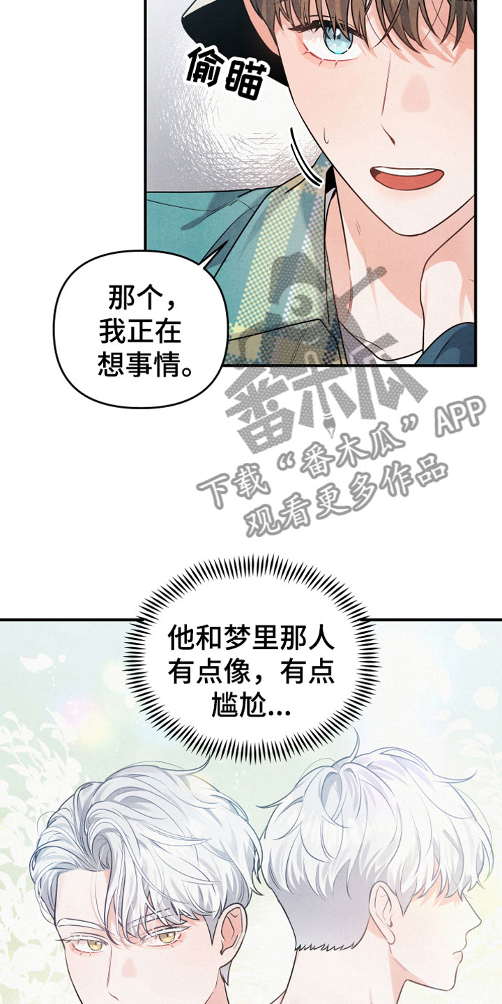 狗狗的恋爱 - 合适的对象 - 第11页