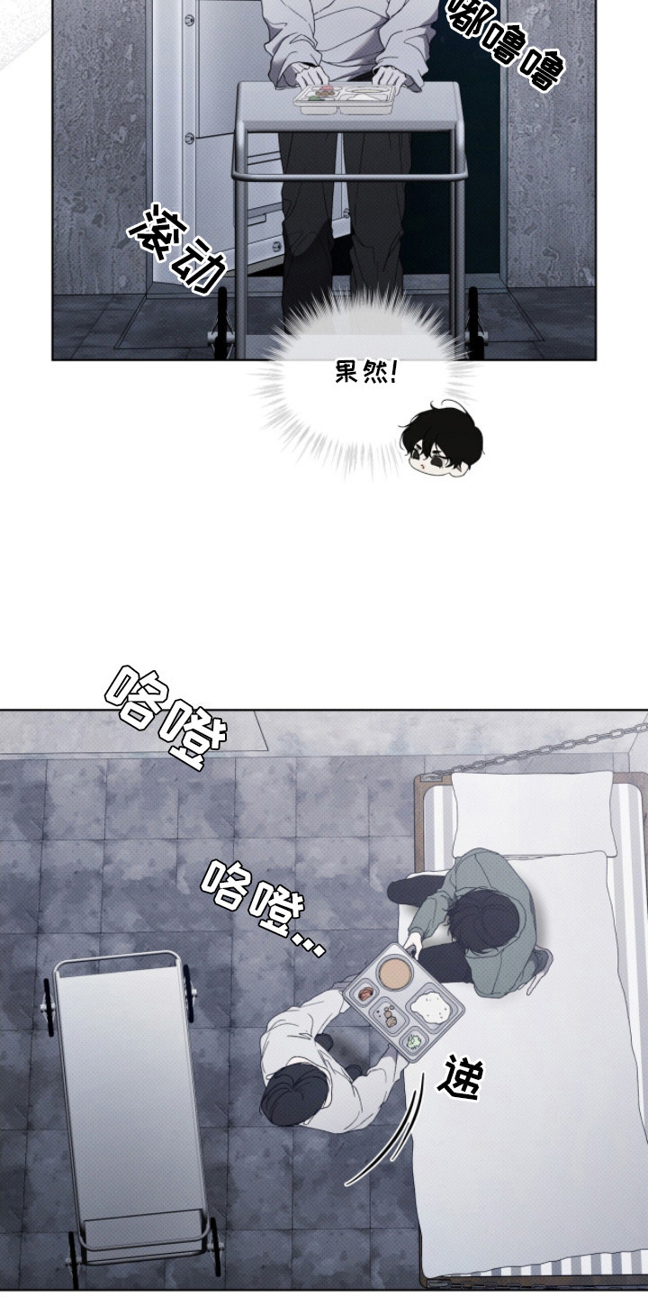 物种进化 - 新冠军 - 第16页