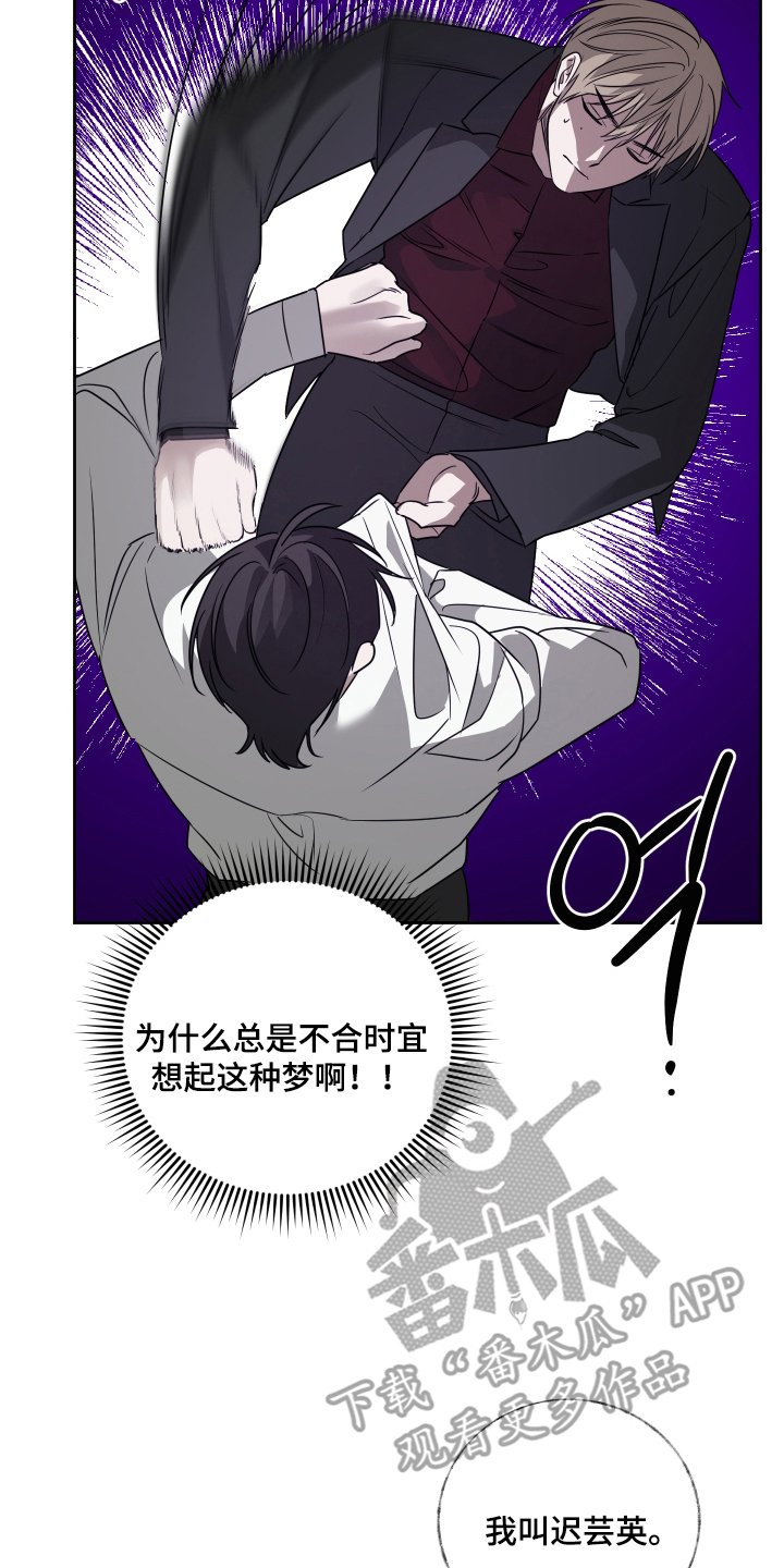 绿茵花园 - 集中 - 第17页