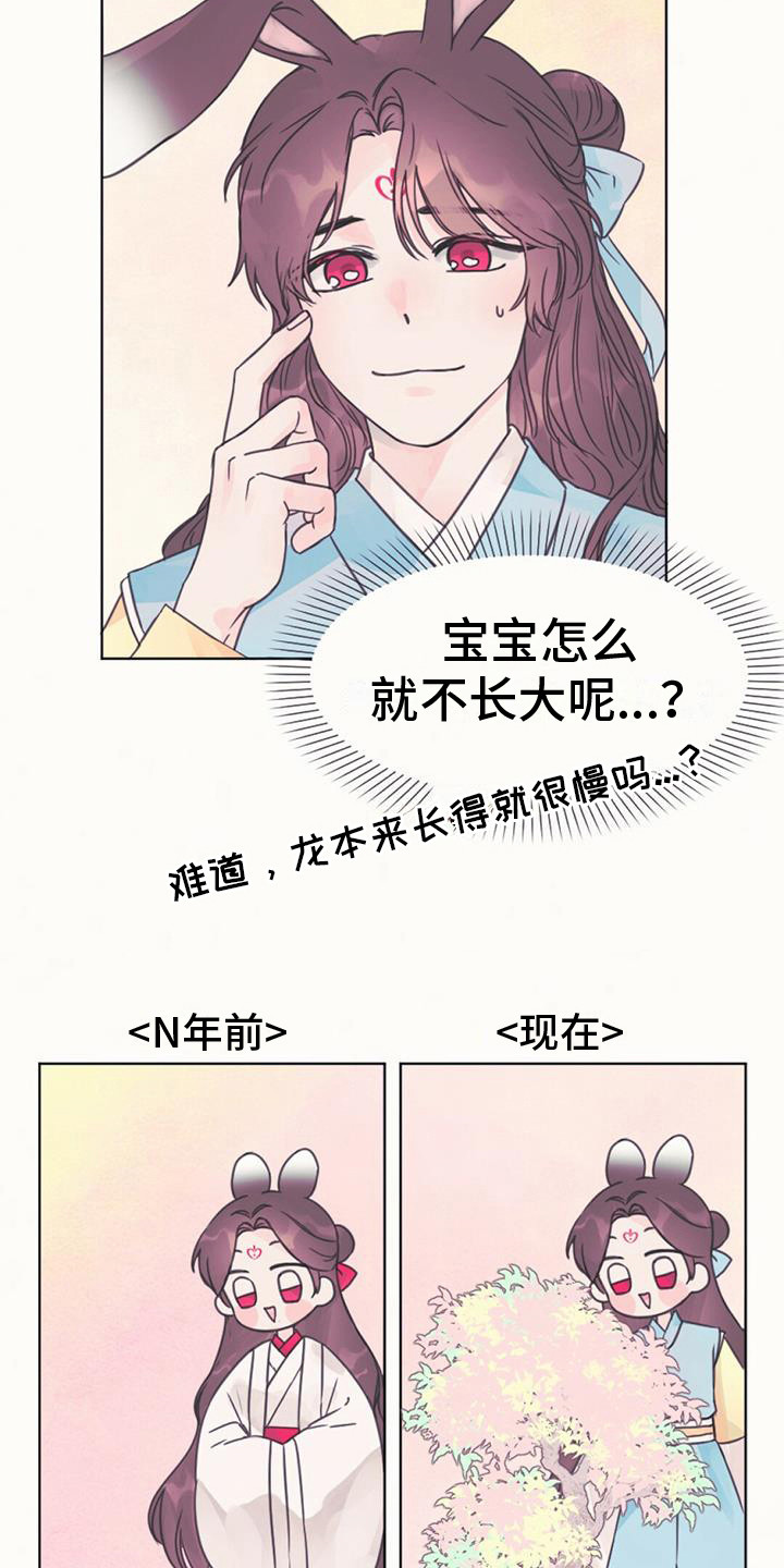 兔兔的小龙宝 - 长不大 - 第13页