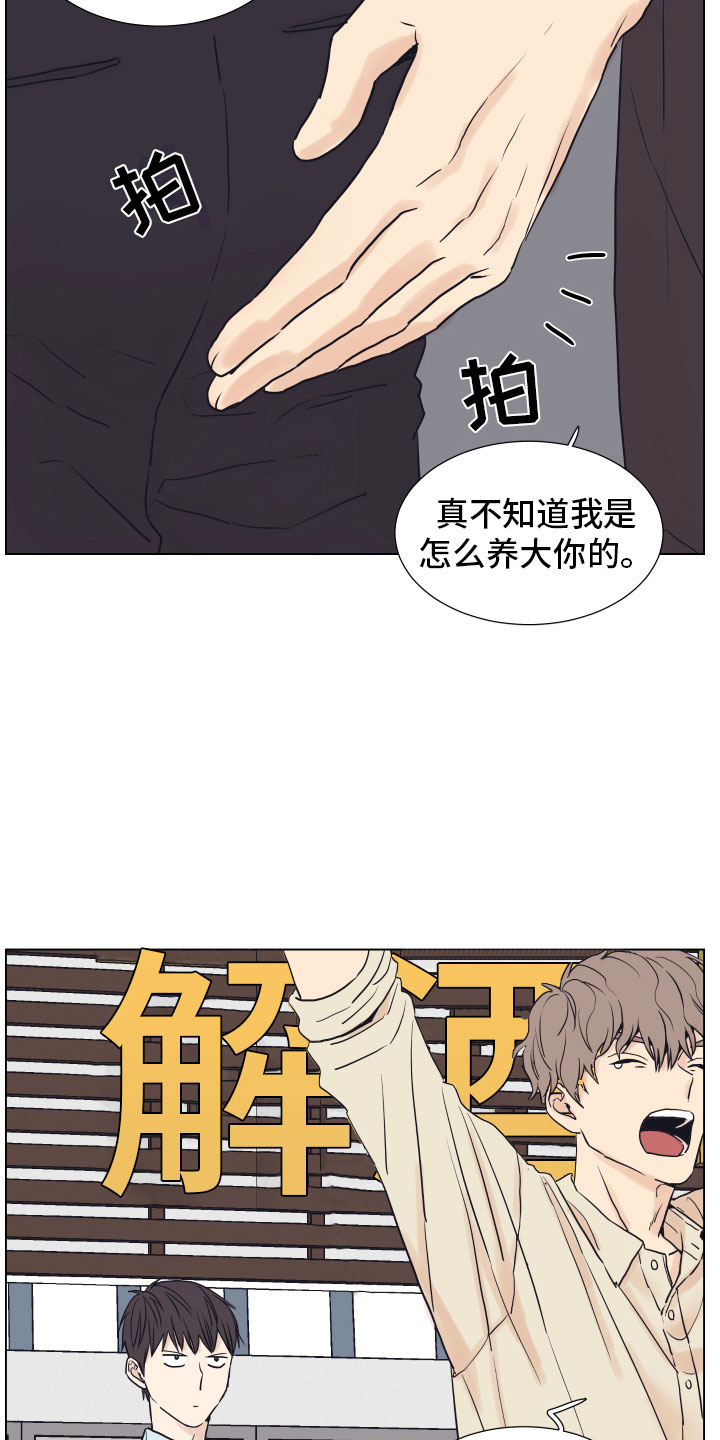 金代理的规则 - 狗东西 - 第19页