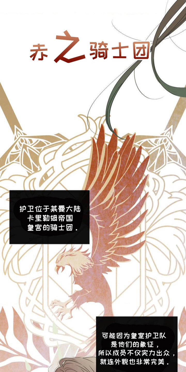 月光骑士 - 放心不下 - 第13页