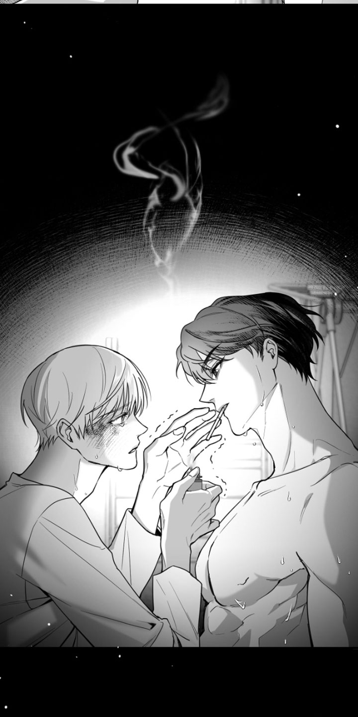合作的博弈 - 暴力 - 第22页