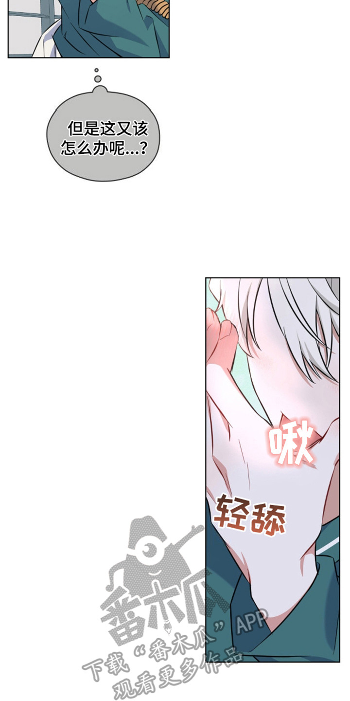 狐狸特饮 - 视线 - 第18页
