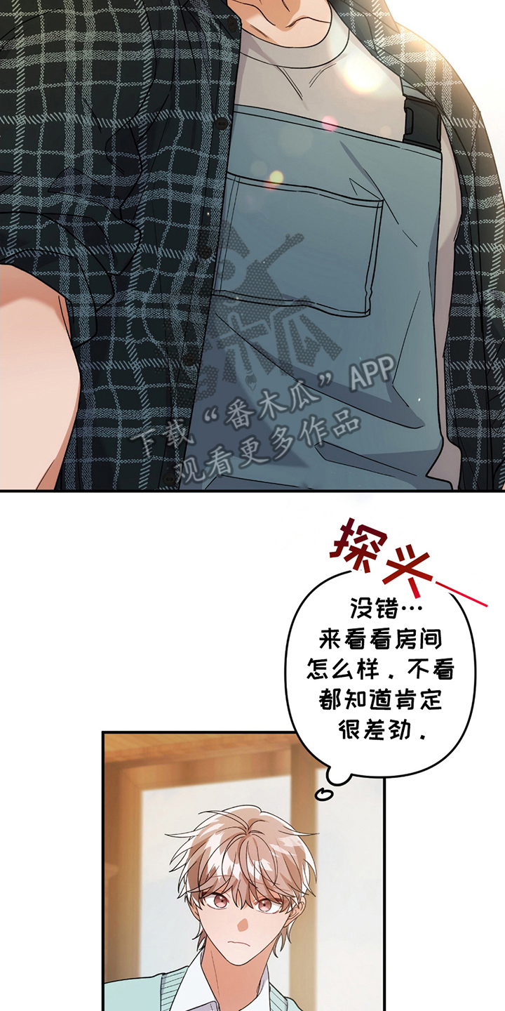 玫瑰庭院 - 正面突破 - 第15页