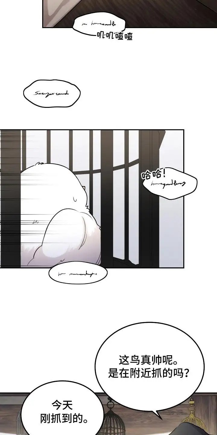 白鸟奇遇记 - 捕获 - 第13页