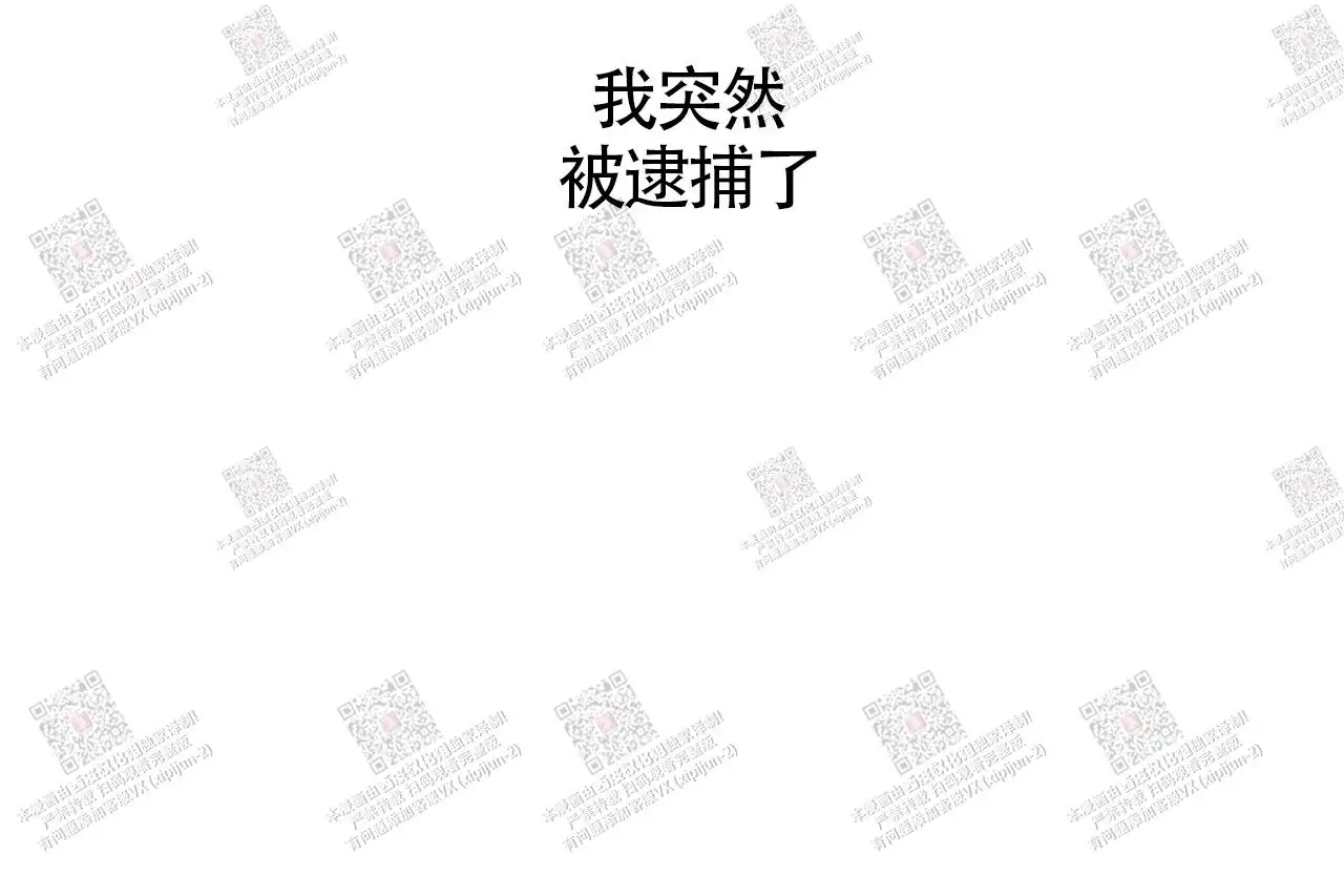 狗和狼的时间 - 逮捕 - 第37页