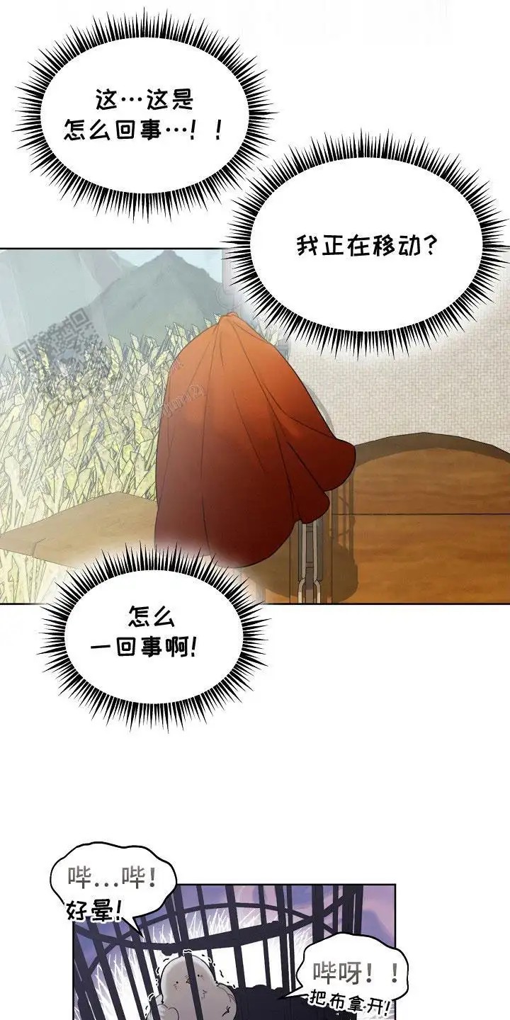 白鸟奇遇记 - 是真的 - 第17页
