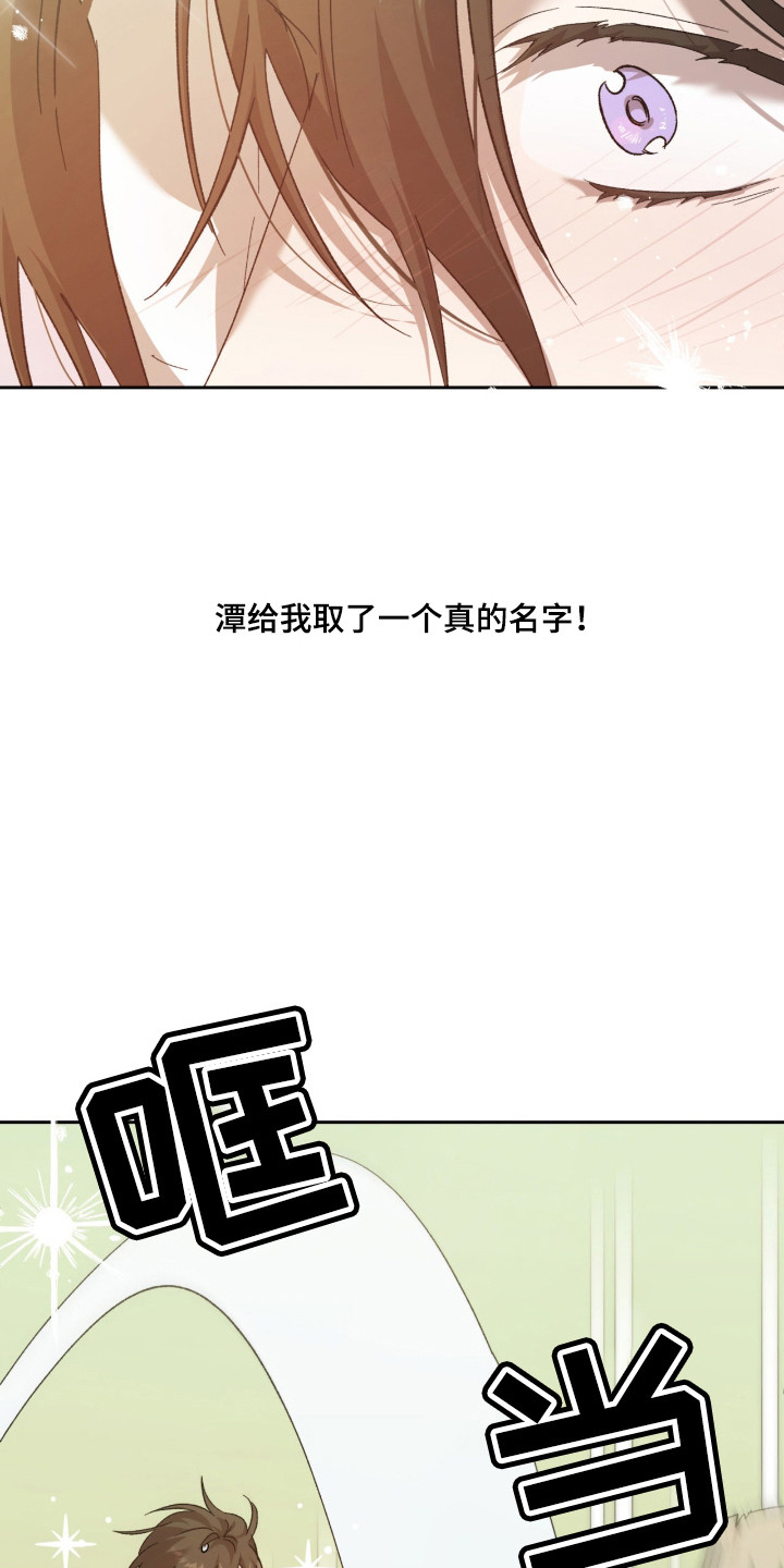 双生悲愿 - 取名 - 第23页