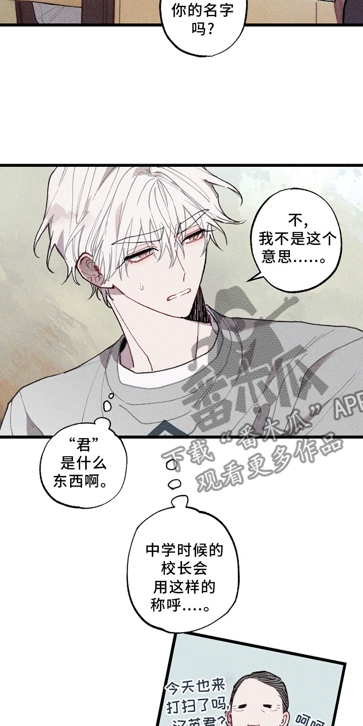 蓝名之谜 - 挡箭牌 - 第11页