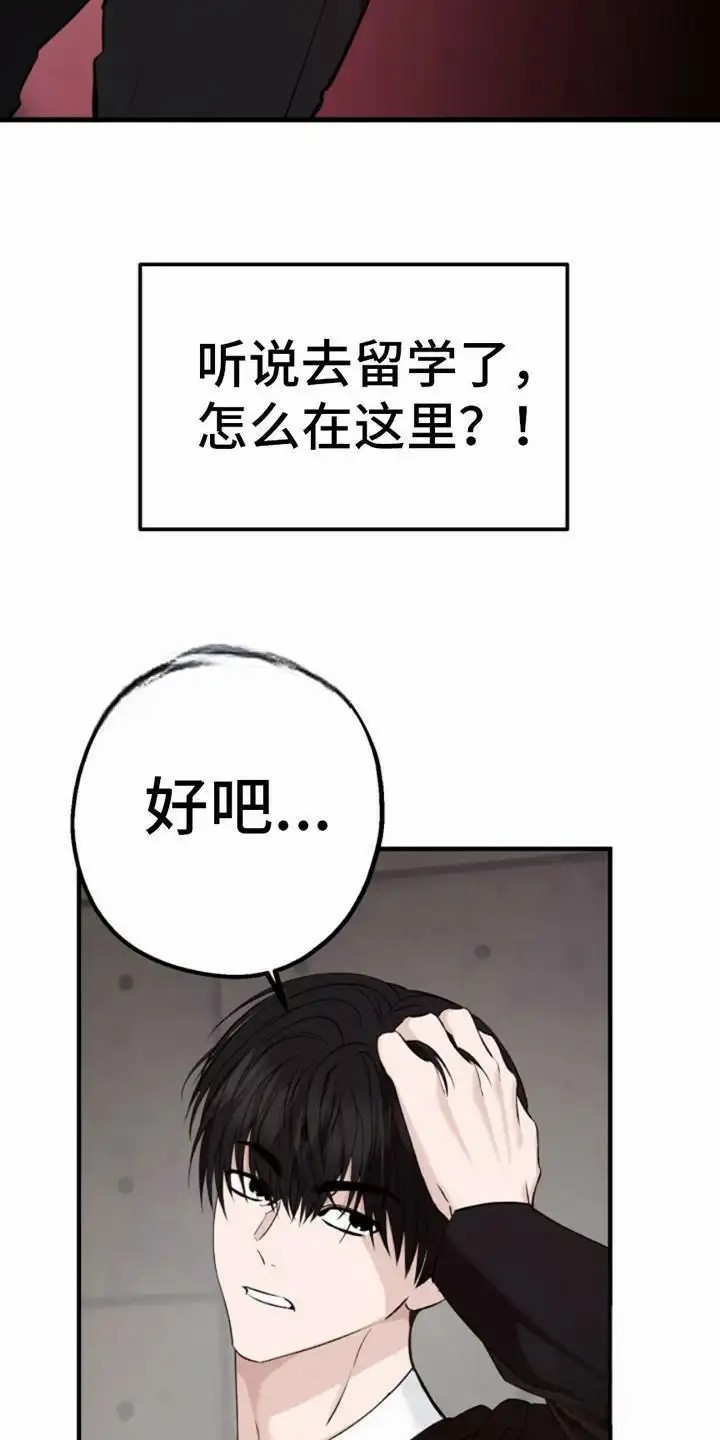 高墙之下 - 离开的办法 - 第14页
